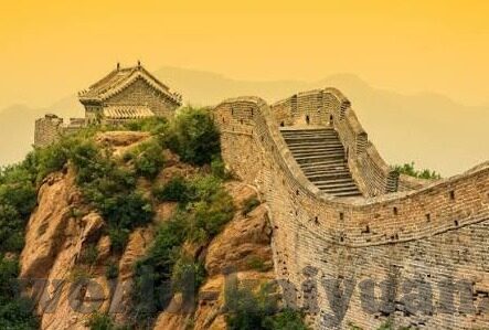 足球比分和直播间-足球比分与直播间，一场跨越时空的激情碰撞